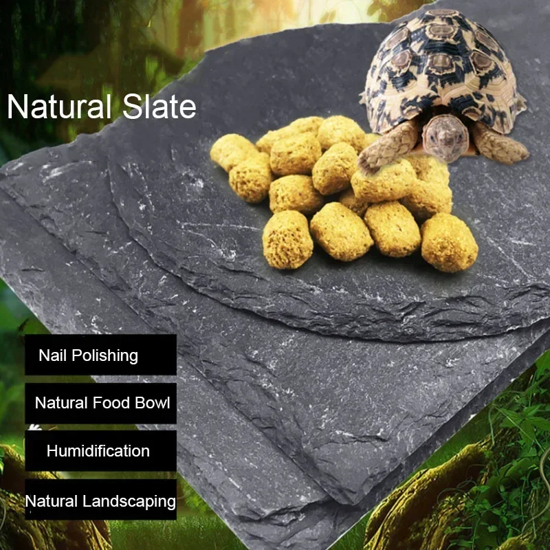 Pet Supplies Fish - Naturalny łupek do akwarium dla zwierząt