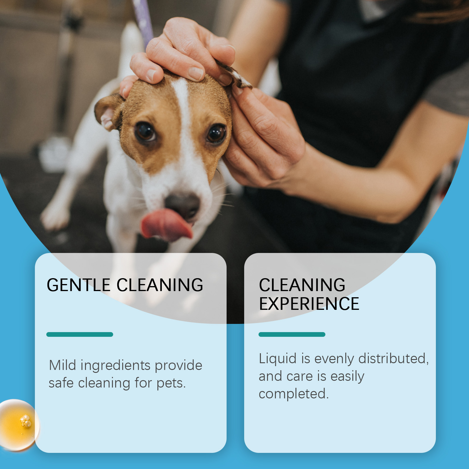 Preparat do czyszczenia uszu d – Pet Ear Cleaner recenzja i cena