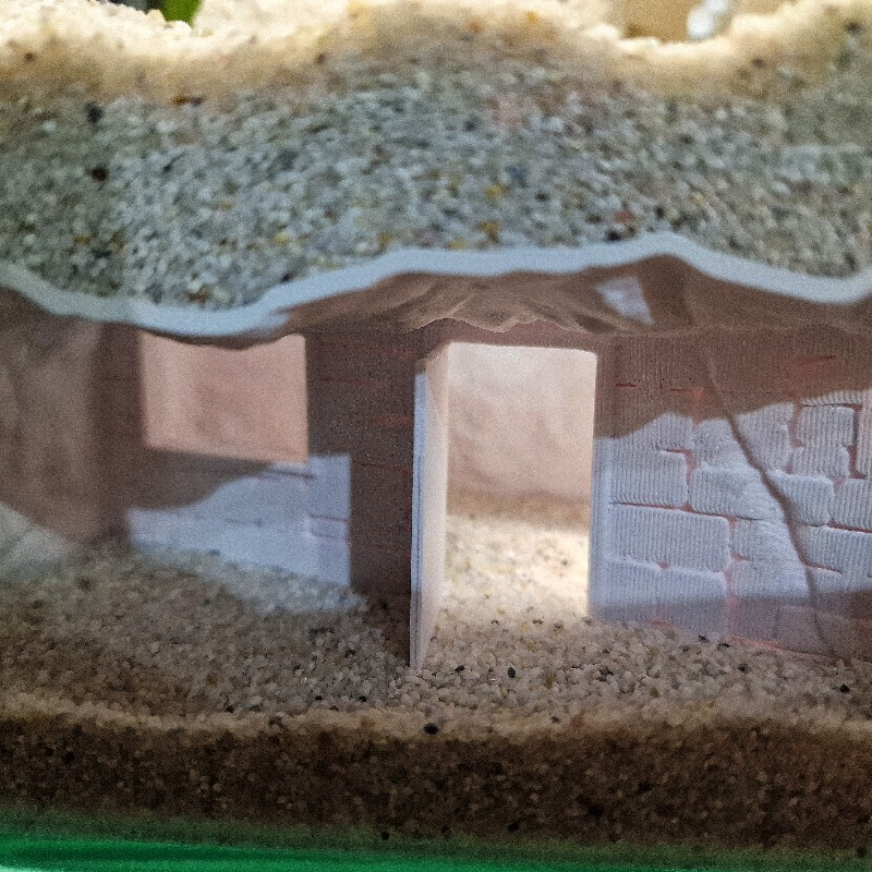 Drukowane w 3D Sekretny Dom Ja – Pet Supplies Fish recenzja i cena
