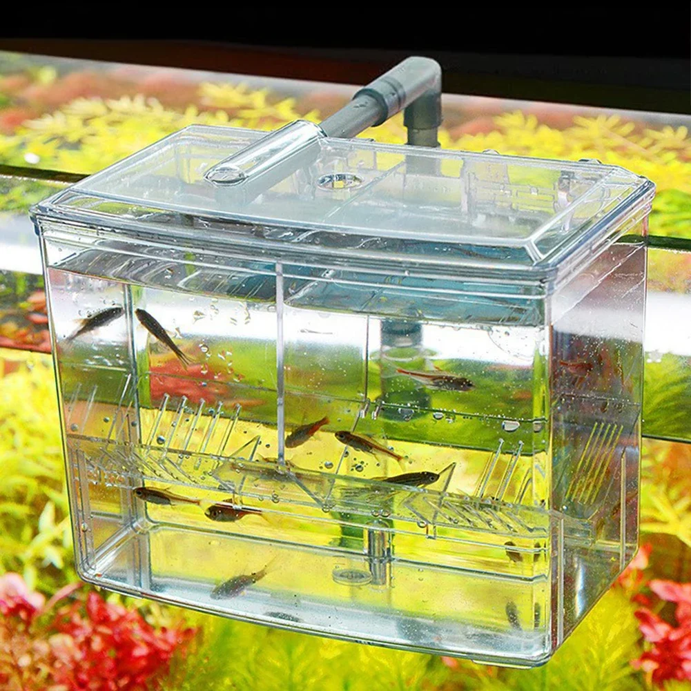 Pudełko do hodowli ryb akwario – Pet Supplies Fish recenzja i cena