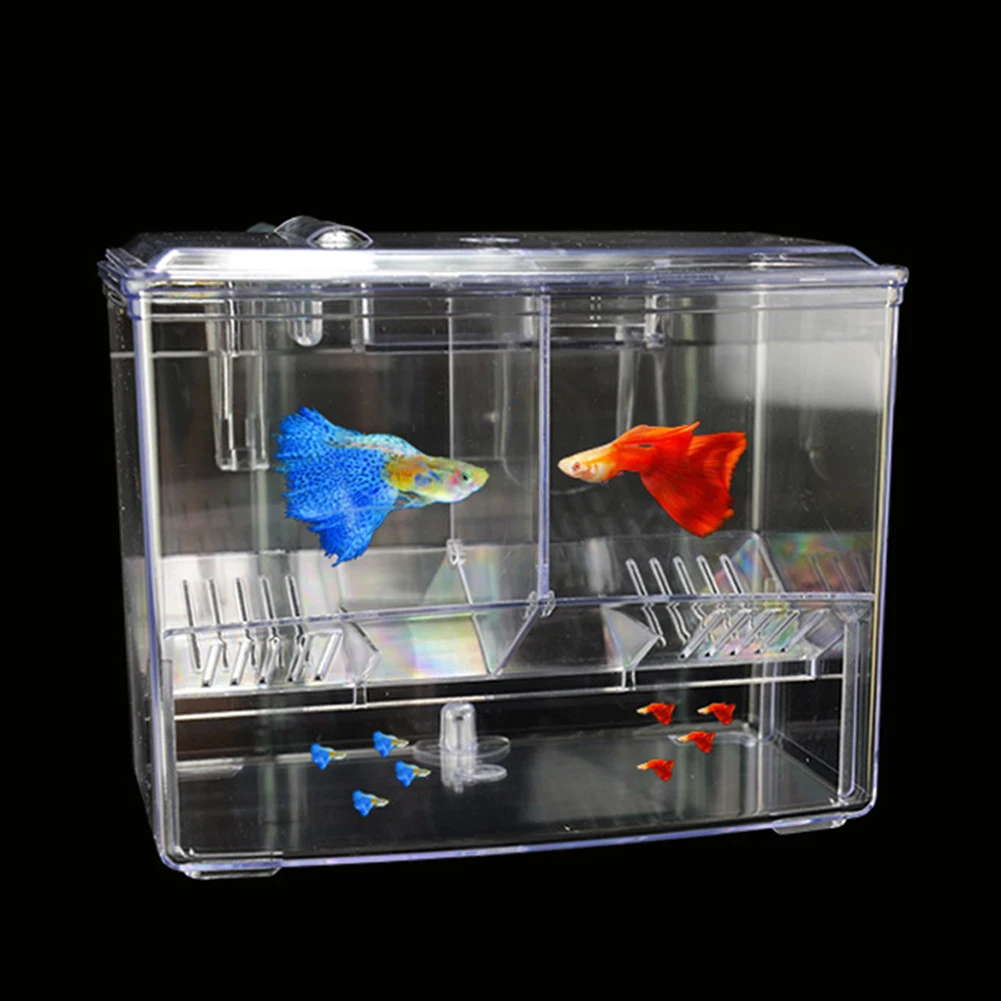 Pudełko do hodowli ryb akwario – Pet Supplies Fish recenzja i cena
