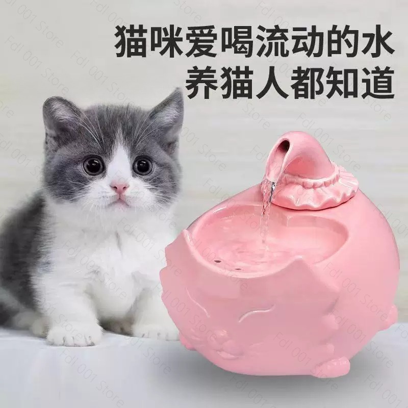 Wielofunkcyjna ceramiczna font – Pet Water Fountain recenzja i cena