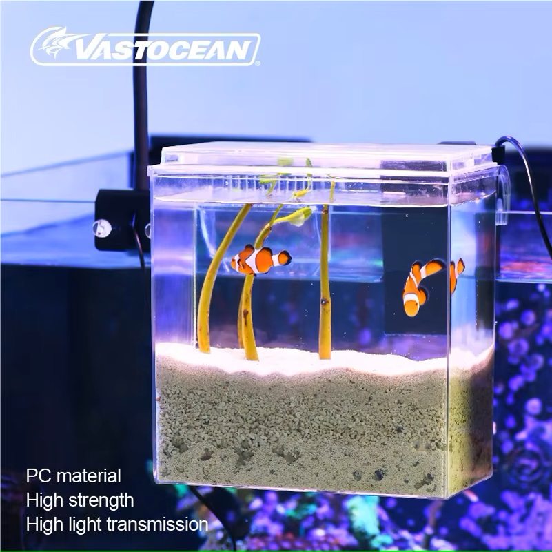 Zewnętrzny podajnik do akwariu – Pet Supplies Fish recenzja i cena