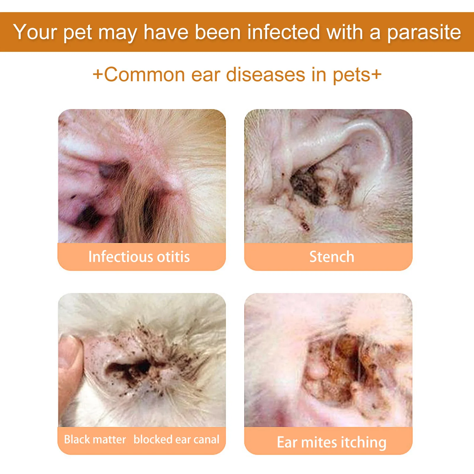 Zwierzęta do czyszczenia uszu  – Pet Ear Cleaner recenzja i cena