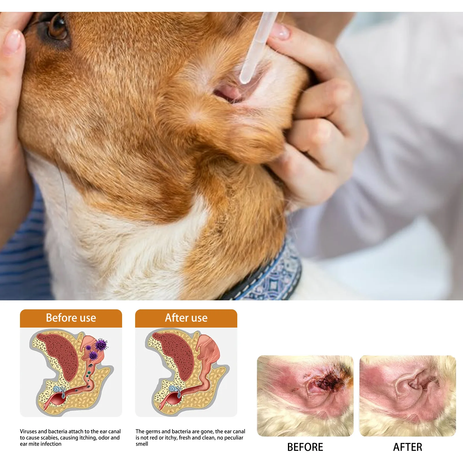 Zwierzęta do czyszczenia uszu  – Pet Ear Cleaner recenzja i cena