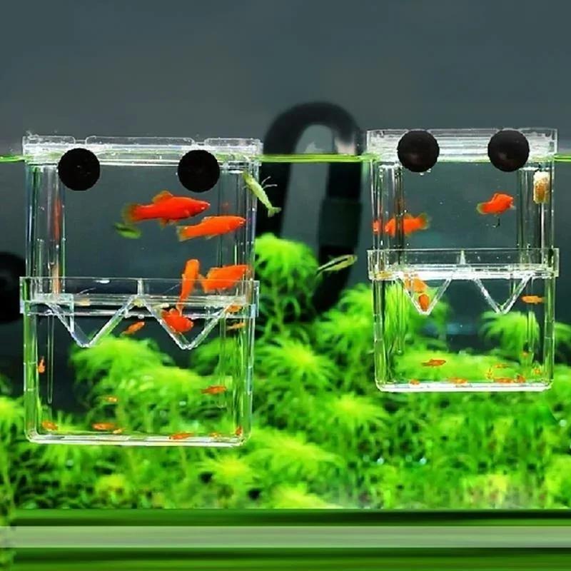 Przezroczysty Akwarium dla Ryb – Pet Supplies Fish recenzja i cena