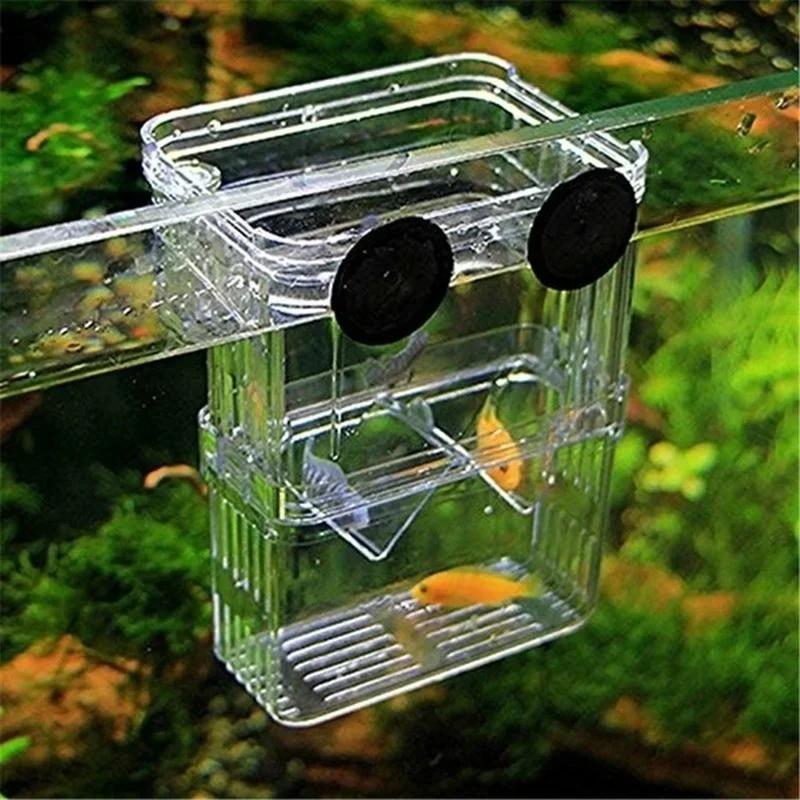 Przezroczysty Akwarium dla Ryb – Pet Supplies Fish recenzja i cena