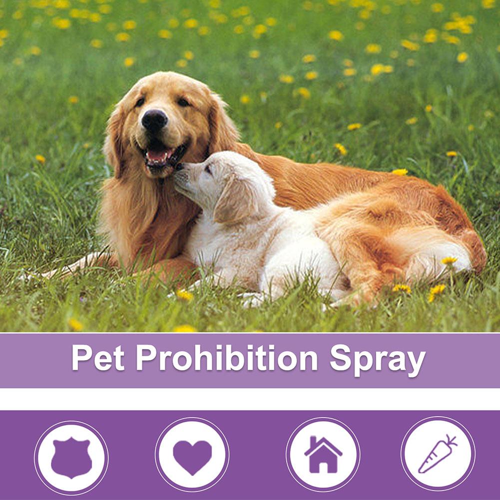 Spray Uspokajający dla Zwierzą – Pet Supplies Vending Machine recenzja i cena