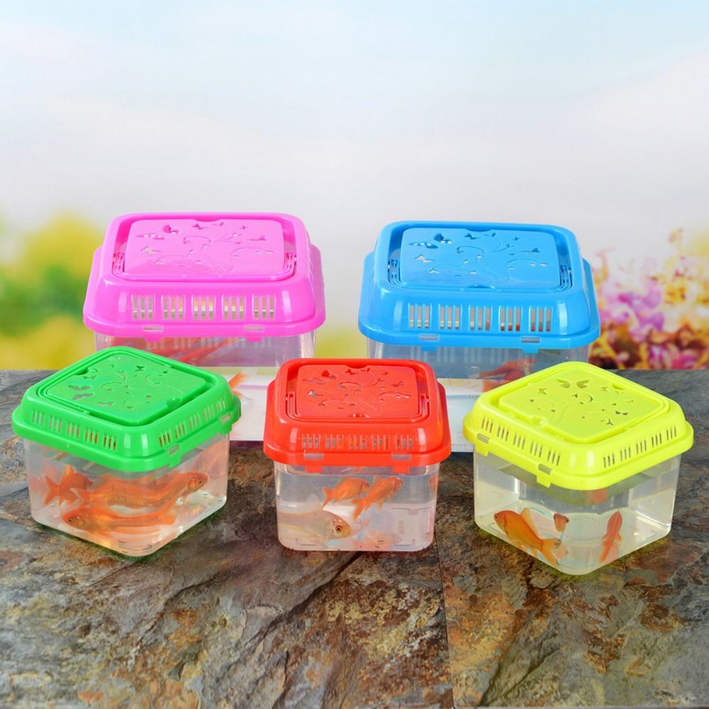Mini przenośny akwarium artyku – Pet Supplies Fish recenzja i cena