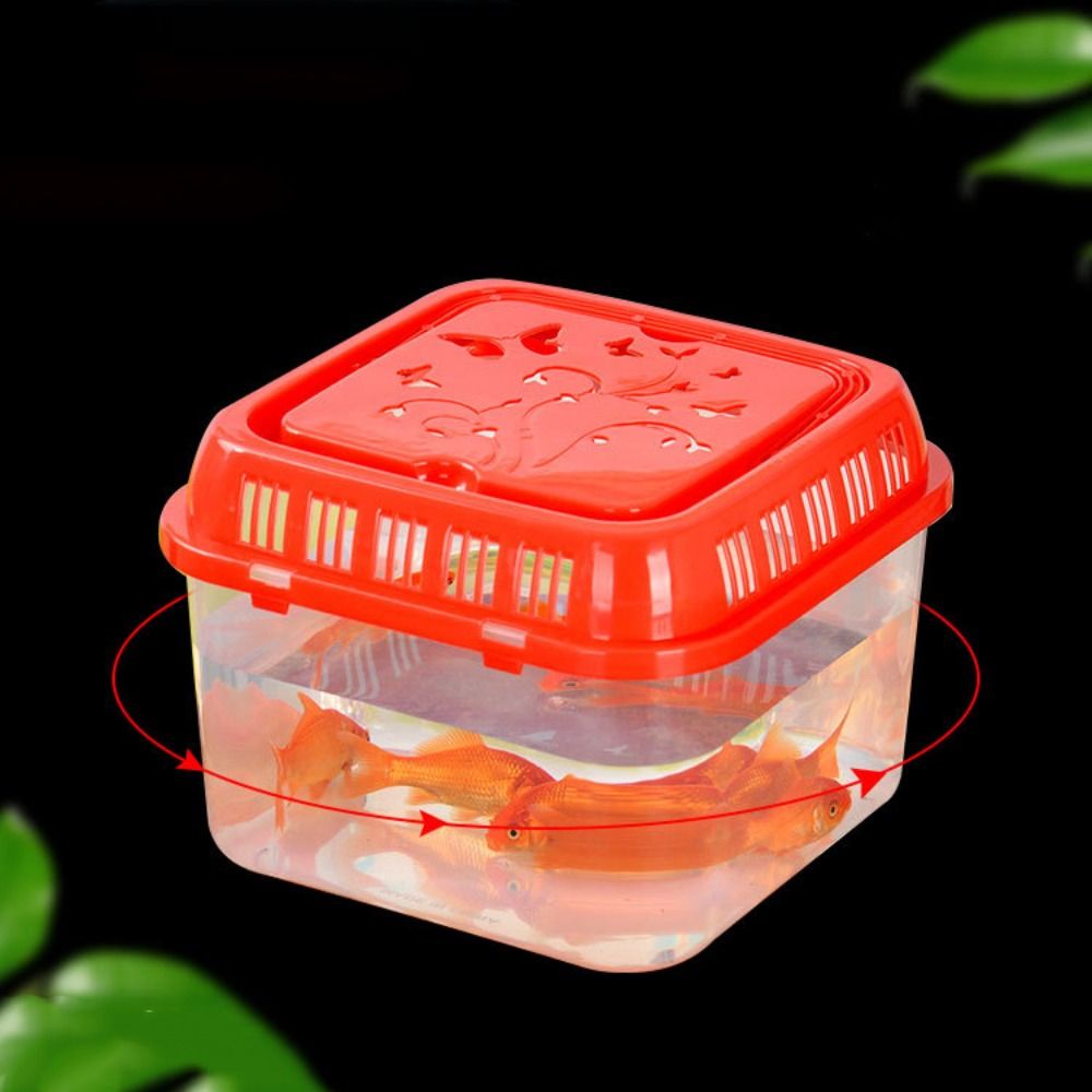 Mini przenośny akwarium artyku – Pet Supplies Fish recenzja i cena