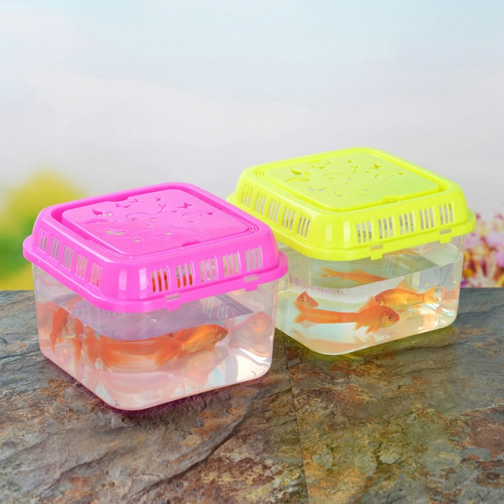 Mini przenośny akwarium artyku – Pet Supplies Fish recenzja i cena