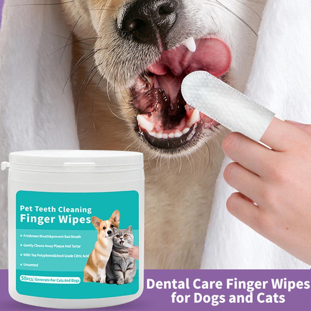 Chusteczki do czyszczenia zębó – Pet Ear Cleaner recenzja i cena