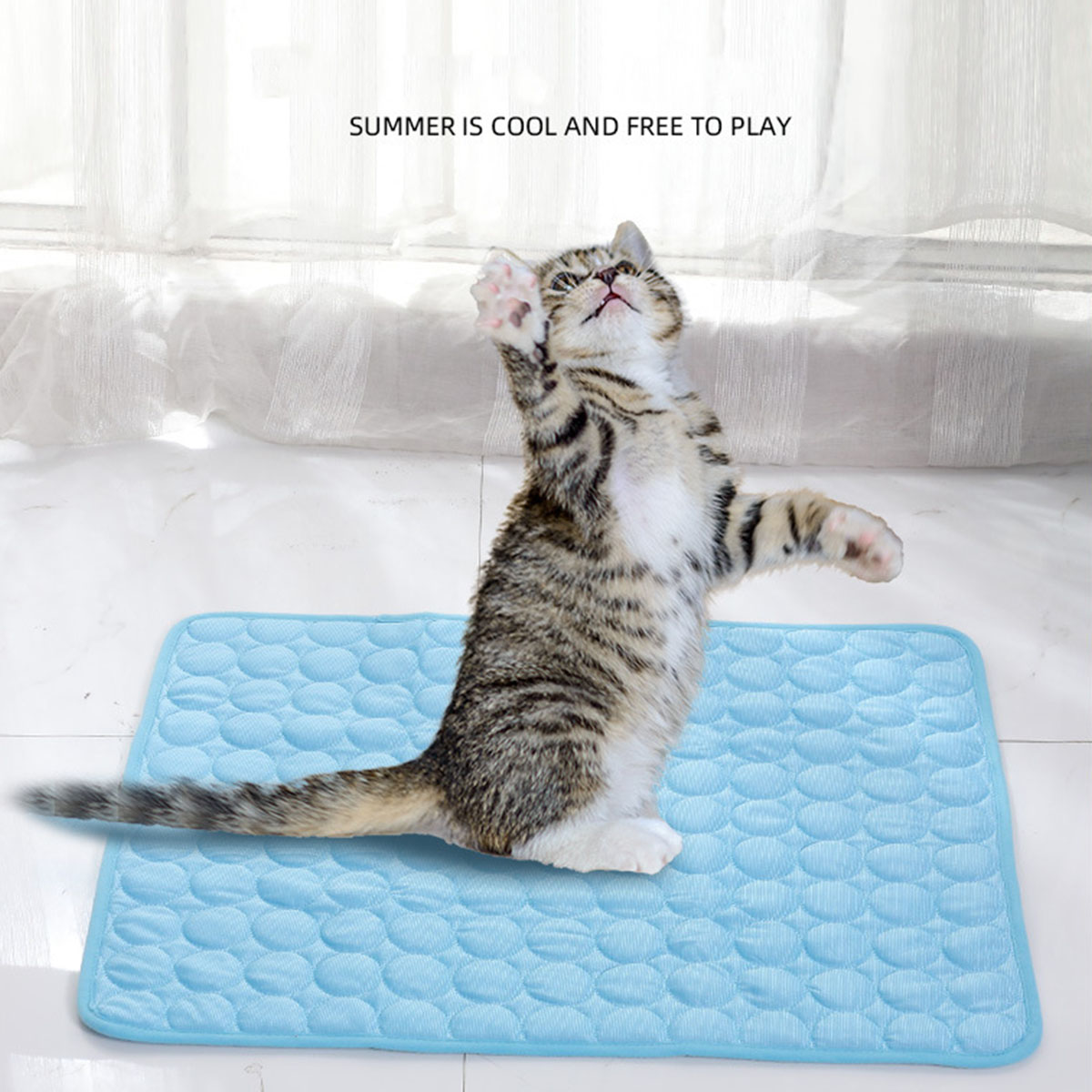 Mata chłodząca dla zwierząt na – Calming Dog Bed recenzja i cena
