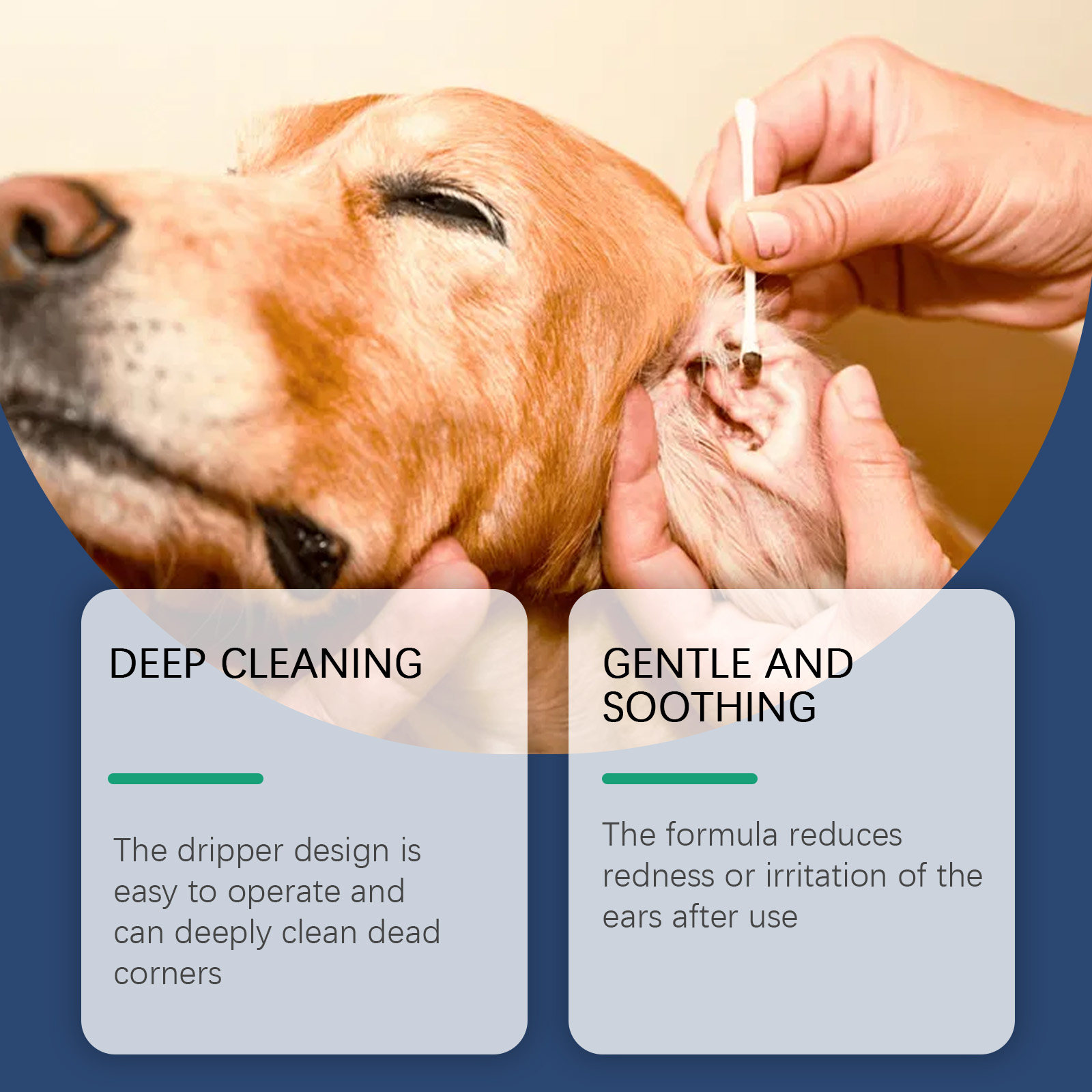 Środek do czyszczenia uszu dla – Pet Ear Cleaner recenzja i cena
