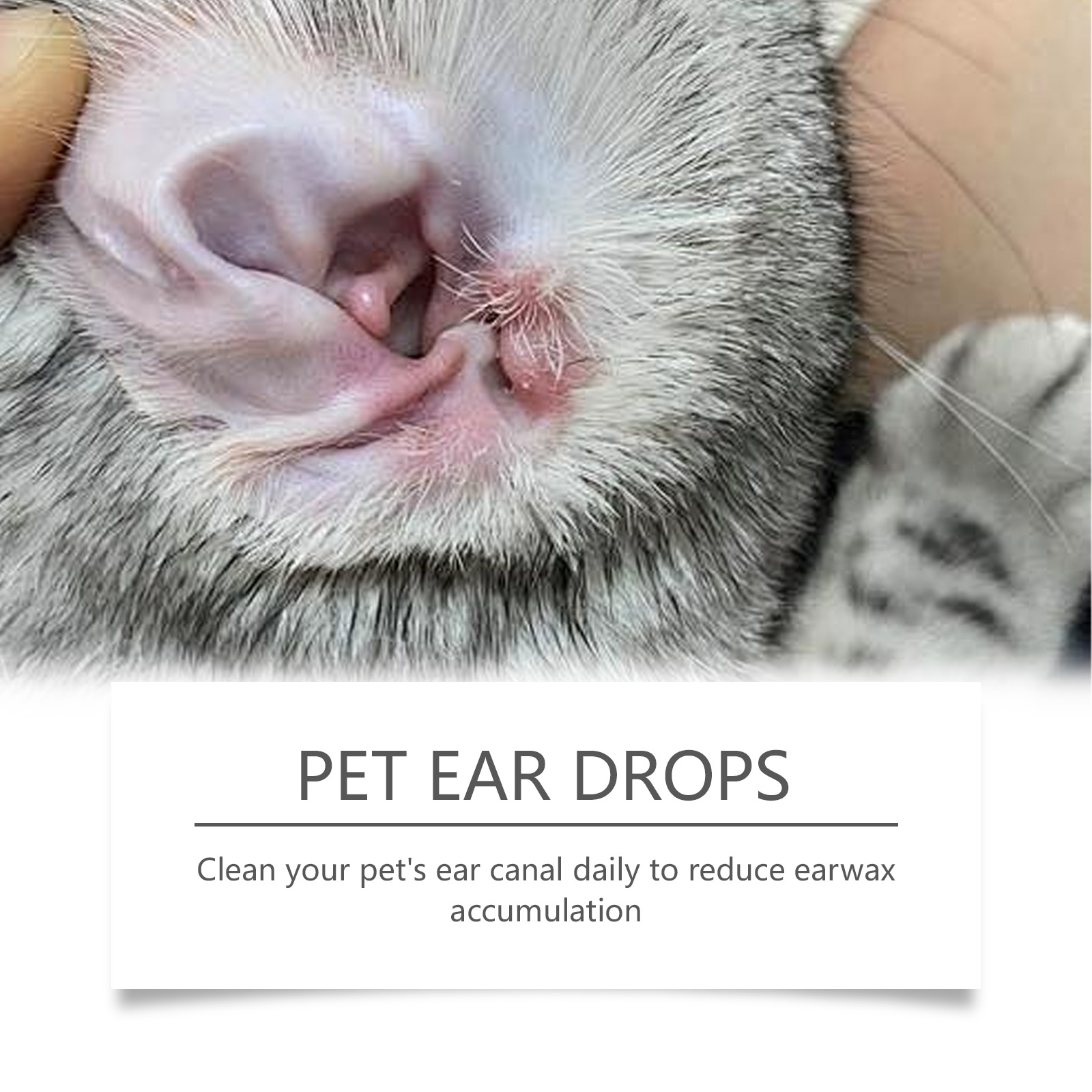 Środek do czyszczenia uszu dla – Pet Ear Cleaner recenzja i cena