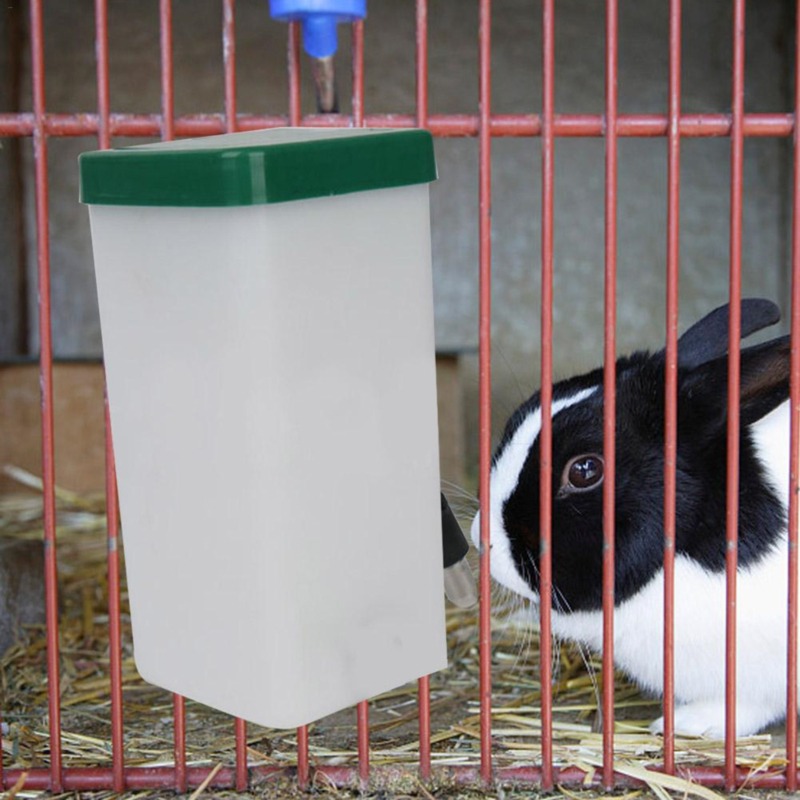 Dozownik wody dla zwierząt, bu – Pet Water Fountain recenzja i cena