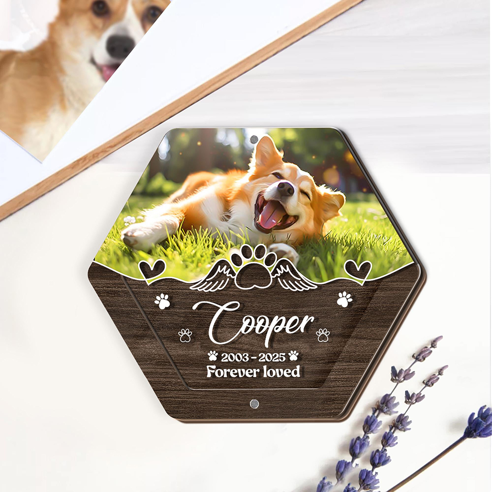 Spersonalizowane drewniane pud – Pet Supplies Vending Machine recenzja i cena