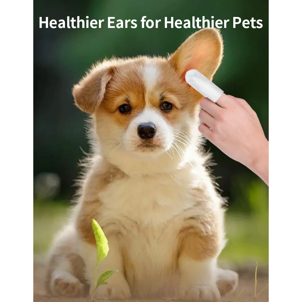 Produkty do czyszczenia zwierz – Pet Ear Cleaner recenzja i cena