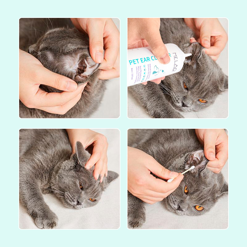 Płyn do czyszczenia uszu dla z – Pet Ear Cleaner recenzja i cena