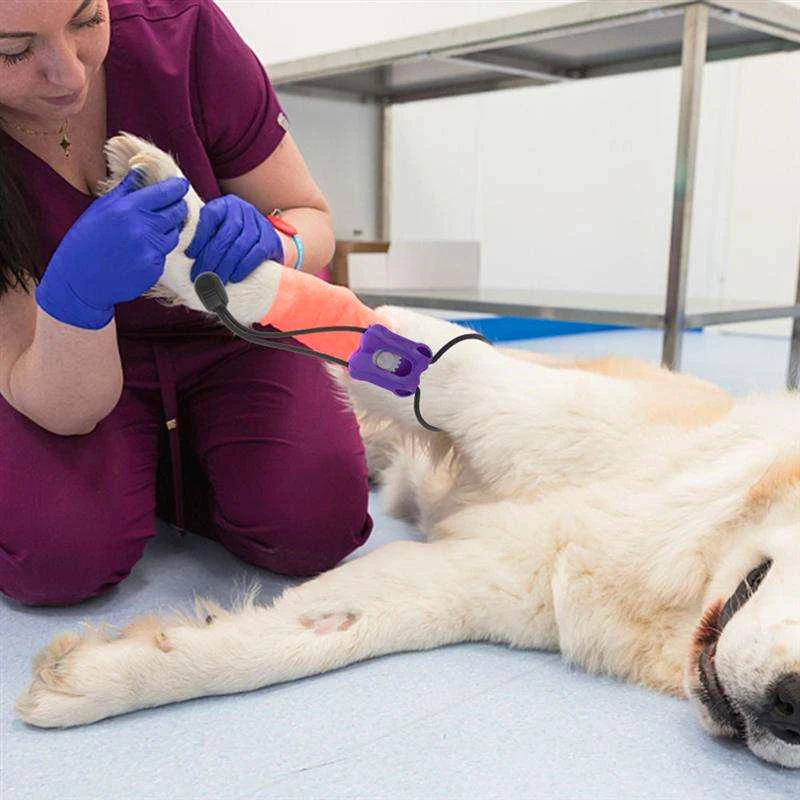 2026 Plastikowy staz taktyczny – Pet Supplies Vending Machine recenzja i cena